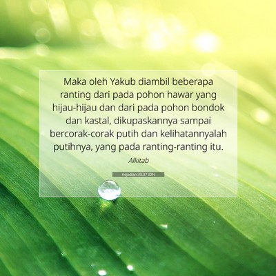 Kejadian 30:37 Ayat Alkitab Dijelaskan