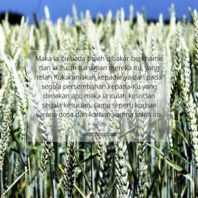 Imamat 6:17 IDN Gambar Ayat Alkitab