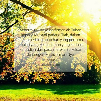 Bilangan 1:1 Ayat Alkitab Dijelaskan