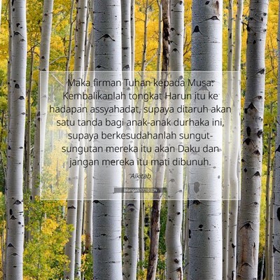 Bilangan 17:10 Ayat Alkitab Dijelaskan