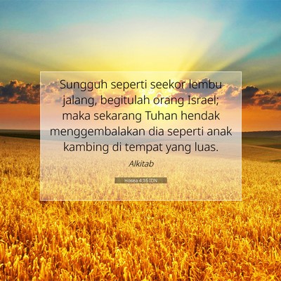 Hosea 4:16 Ayat Alkitab Dijelaskan
