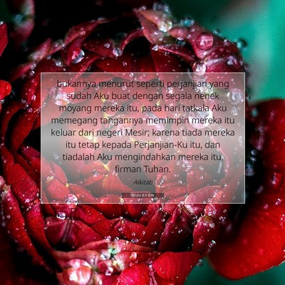 Ibrani 8:9 IDN Gambar Ayat Alkitab